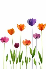 Fototapeta premium Collection of 2D and 3D Vector Flat Abstract Minimalistic Art of Flowers and Meadow Isolated on a White Background