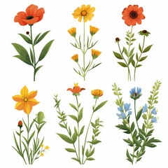 Obraz premium Collection of 2D and 3D Vector Flat Abstract Minimalistic Art of Flowers and Meadow Isolated on a White Background