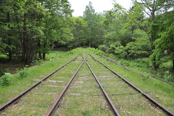 Obraz premium 鉄道