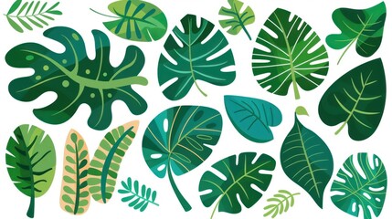 Lush tropical leaves in vibrant green bring a fresh, summery vibe to any design with their striking appearance.