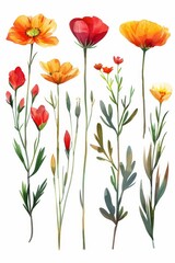 Fototapeta premium Collection of 2D and 3D Vector Flat Abstract Minimalistic Art of Flowers and Meadow Isolated on a White Background