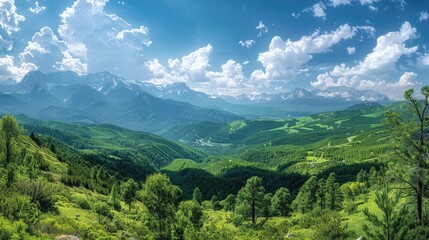 Obraz premium Scenic mountain landscape with lush green meadows