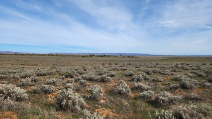 Port Augusta Arid Lands Botanic Gardens