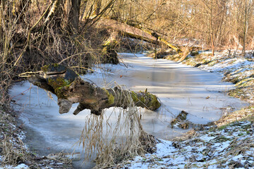 Frozen river and Ice in the forest in winter