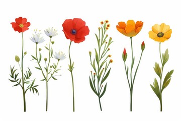 Fototapeta premium Collection of 2D and 3D Vector Flat Abstract Minimalistic Art of Flowers and Meadow Isolated on a White Background