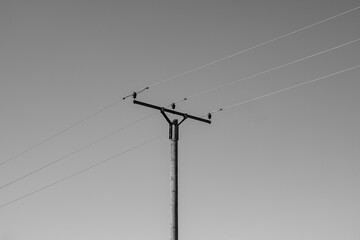 Black and white photo of a wooden electricity pole with cables with a cloudless sky.