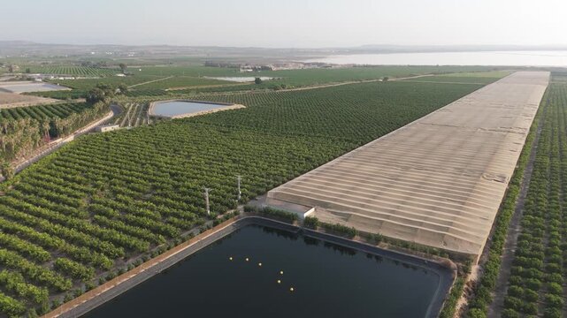 A forward moving drone tracking shot over lush citrus fields in Torrevieja, showing extensive crop covers, a large reservoir, and scenic palm tree borders.