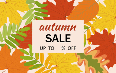 Autumn leaves background. Red, orange and yellow maple and aspen leaves. Green and brown oak and rowan leaves. Text in frame autumn sale. Banner on beige background. Vector cartoon illustration.