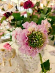 Beautiful dried flowers decoration in authentic interior background. Winter cozy mood. Selective focus