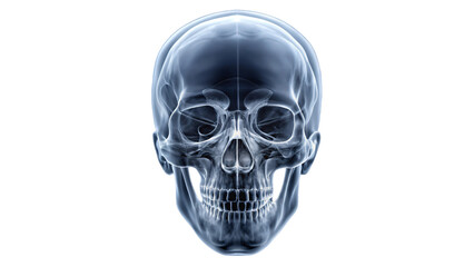 An X-ray image showing a detailed view of a human skull and head with anatomical features and medical details