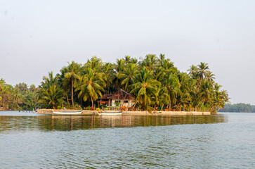 House on an island with coconut palms