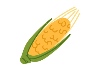 Fresh corn cob with green husk. Sweet Corn healthy food. Ideal for agricultural or culinary book. Vector illustration isolated on white background