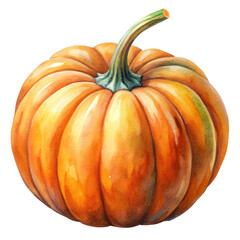 Pumpkin Watercolor Style