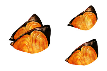 ぶりの水彩画風ベクターイラスト