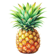 Fototapeta premium Pineapple watercolor Style