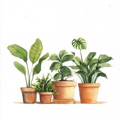Fototapeta premium A serene arrangement of potted plants showcasing lush green leaves, perfect for home decor and nature lovers.