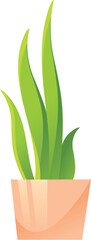 Houseplant icon. Cartoon aloe plant in flower pot