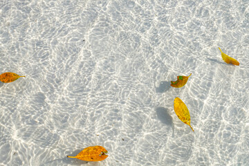 Obraz premium Whitehaven beach, Whitsundays island, Queensland, Australia 