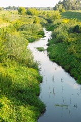 A small overgrowing river