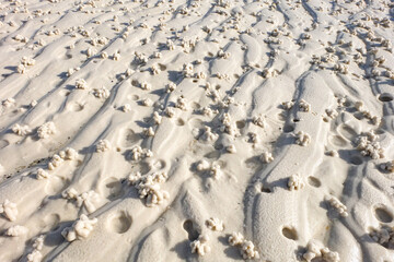 Whitehaven beach, Whitsundays island, Queensland, Australia 