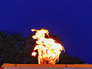 The flames leapt up into the sky