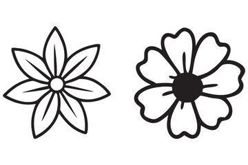 Elegant Line Art Floral Illustrations: A Collection of Delicate Flower Designs.