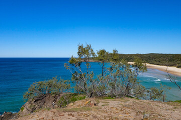 Obraz premium Noosa National Park, Coastal Walk, hike along the stunning blue sea and ocean on a beautiful sunny blue sky day, Sunshine Coast, Australia 
