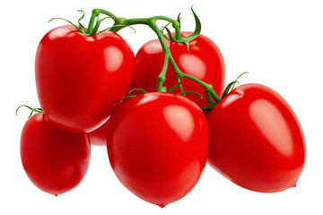 Tomato on branch, isolated on white background, full depth of field © grey