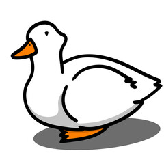 Duck