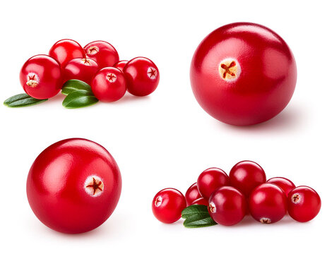 Set aus Preiselbeere, isoliert auf wei&szlig;en Hintergrund, Freisteller