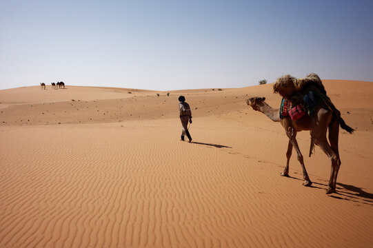 Mauritanian beduin walking in the Adrar desert (Mauritania) with a camel loaded with goods.