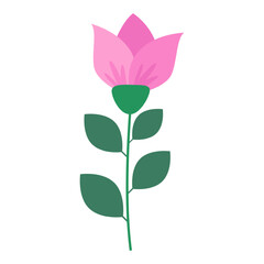 Beautiful romantic flower collection with roses, leaves, floral bouquets