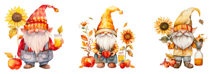 Set of Kawaii Gnome in autumn attire with sunflower and apple cider clipart isolated on transparent background