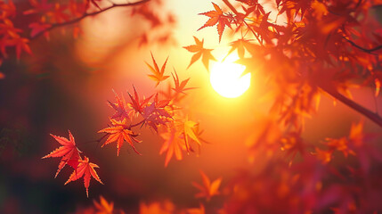 the elegant silhouette of maple leaves against the backdrop of a setting sun, casting shadows that dance across the earth.