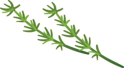 Thyme branch. Aroma herb icon. Natural plant