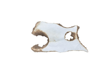 Burn Paper Element Texture for Overlay