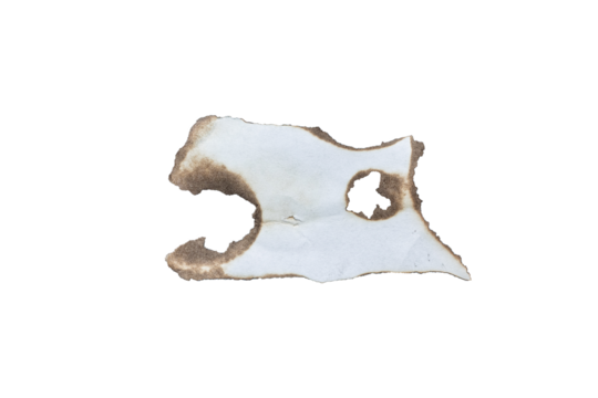 Burn Paper Element Texture for Overlay