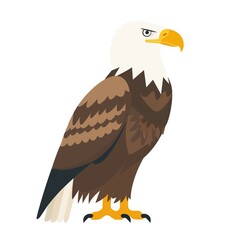 Eagle Scandinavian Minimalism animal fashion cartoon isolated whitebackground 16:9