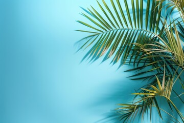 Fototapeta premium blue background with a tropic plant on it. banner. Free copy space.