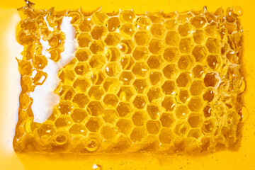 Piece of honeycomb, floating in the yellow sweet honey.
