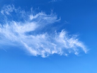 Fototapeta premium Clear blue sky texture and white fluffy cloud nature background. The sun shines bright in the daytime in summer