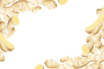 Corner frame with ginger roots watercolor illustration isolated on white background in pastel beige colors, Horizontal label template. with horseradish spicy vegetable