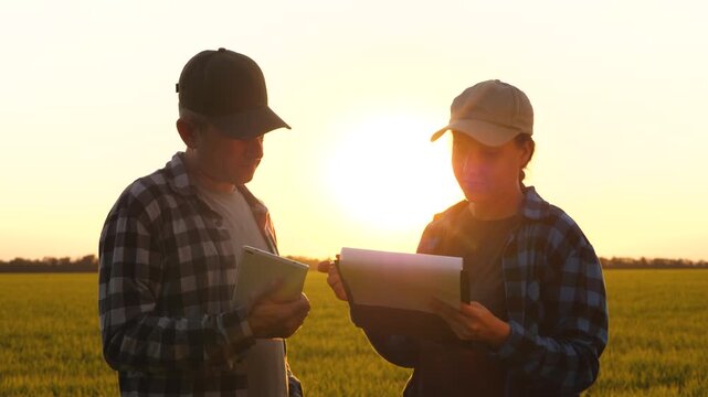 two farmer in field sunset. farmers working paperwork and tablet. farming teamwork harvest crops. agricultural discussion
