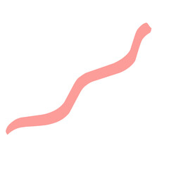 Beautiful ribbon isolated on white background