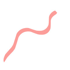 Beautiful ribbon isolated on white background