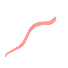 Beautiful ribbon isolated on white background