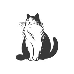 A Black and White Sitting Cat with a Happy Expression