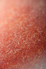 Vertical macro photo of the outer surface of the peach.