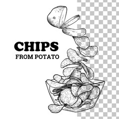 Hand drawn vector side view crisps from potato to bowl. Crunchy chips with black outline, no fill, and fine details. This asset is ready to use and easy to edit. 