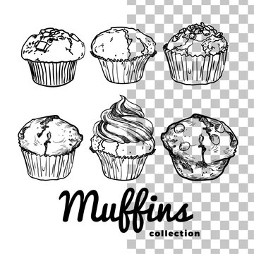 Vector hand drawn muffins with black outline, no fill, with fine details. Six cupcakes with chocolate drops, fruit cream and vanilla flavor. Easy to edit and use vector food assets. 